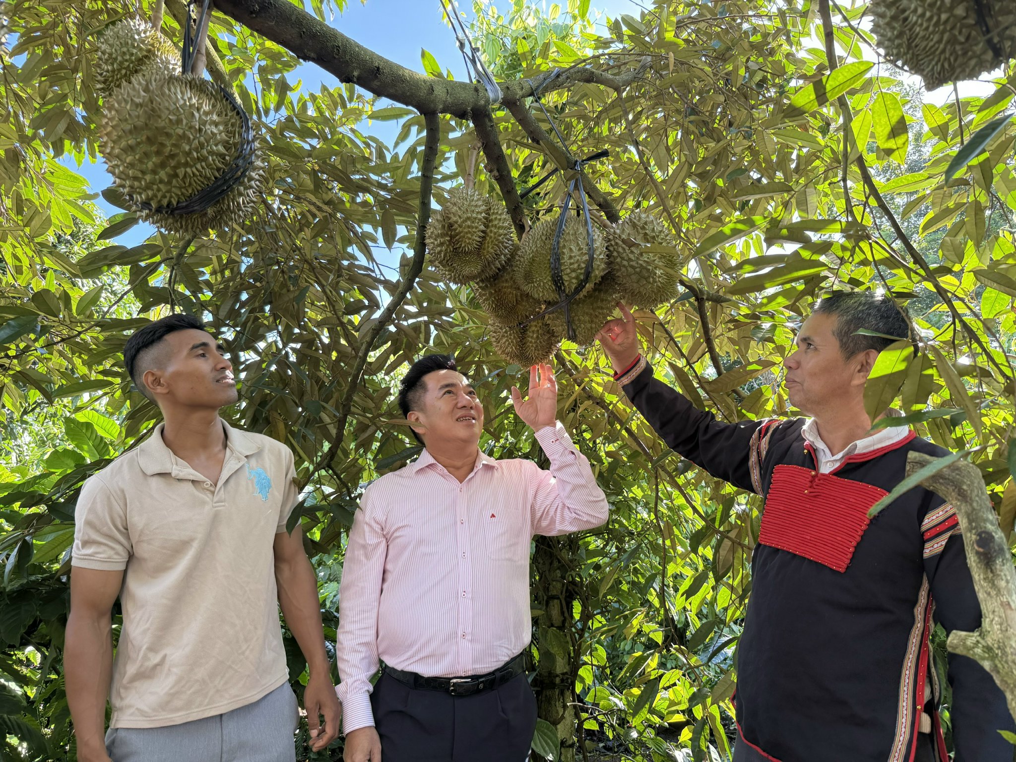 Phòng giao dịch NHCSXH Cư M’gar thích ứng nhanh, triển khai hoạt động chính sách xuyên suốt, hiệu quả sau thực hiện chính quyền 2 cấp